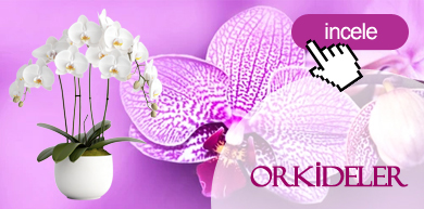 Dinar Aziz Çiçekçilik